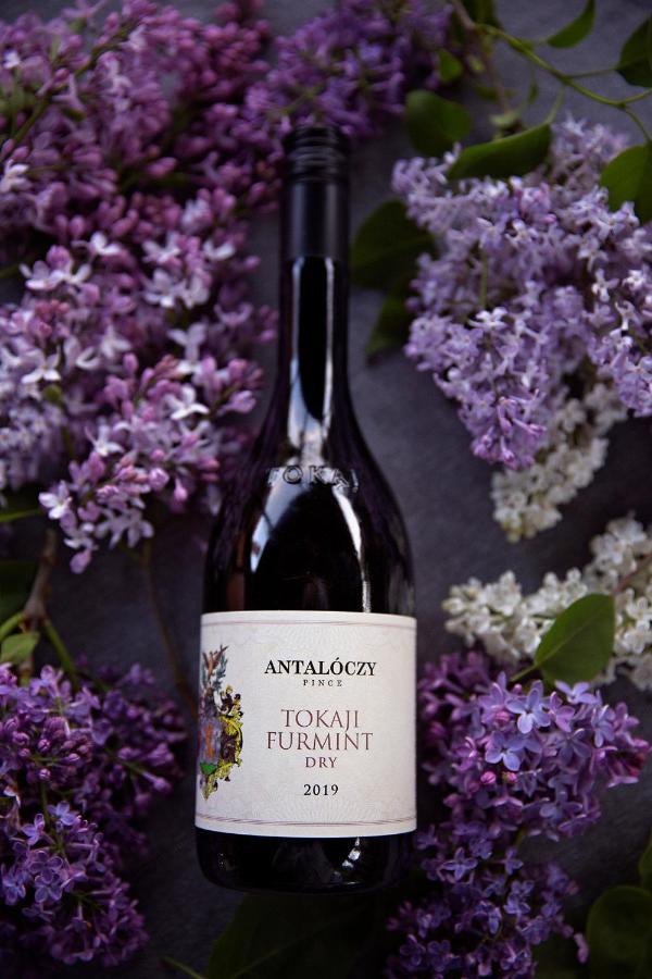 Antaloczy Winery&apartments Appartement