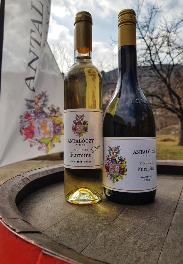 Appartement Antaloczy Winery&apartments Tokaj