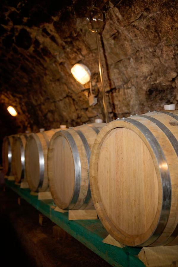 Antaloczy Winery&apartments Appartement Tokaj